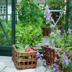 Halls Popular 66 Grøn M/3 Mm Glas -Home Salgsbutik unnamed file 1086