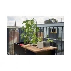 Juliana Urban Vertical Drivhus -Home Salgsbutik unnamed file 1121