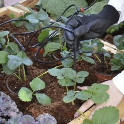 Canopia By Palram Palram - Canopia Drypvandingskit Til Drivhus - 540-070