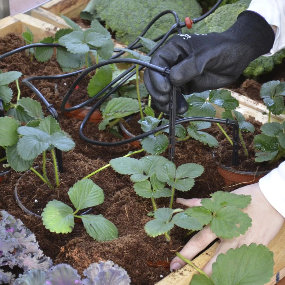 Canopia By Palram Palram - Canopia Drypvandingskit Til Drivhus - 540-070 3 Canopia By Palram Palram - Canopia Drypvandingskit Til Drivhus - 540-070