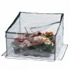 Hortus Bed Drivhus, Foldbar 70x70x35/50 Cm -Home Salgsbutik unnamed file 1443