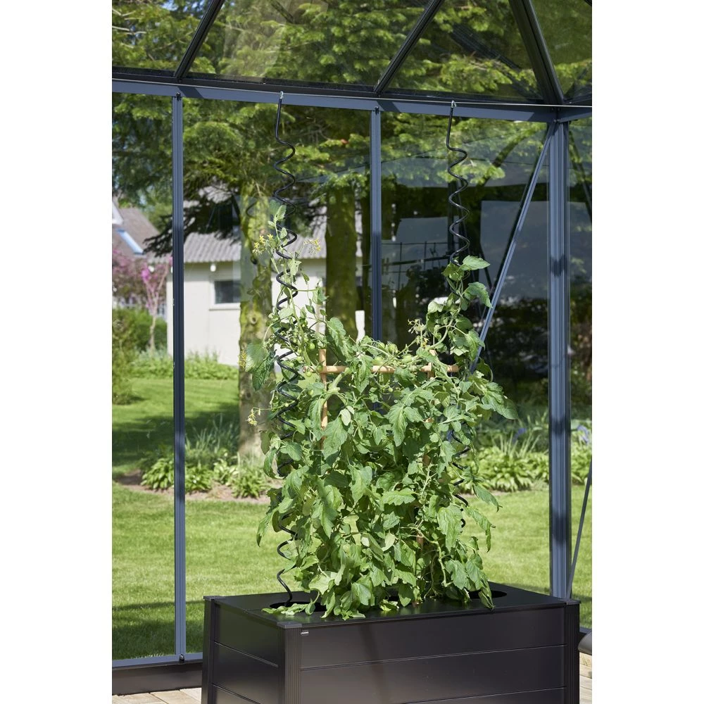 Juliana Plantespiral 3 Stk. 7 Juliana Plantespiral 3 Stk. - Billede 5