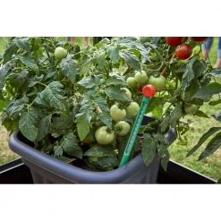 Juliana Jordtermometer 5 Juliana Jordtermometer -Home Salgsbutik unnamed file 1506