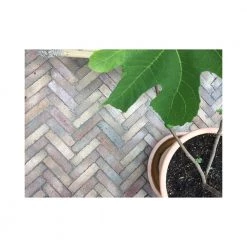 Steffen Sten VHG120 Gent Vintage Belægningstegl - 200 / 50 / 60 Mm 27 Steffen Sten VHG120 Gent Vintage Belægningstegl - 200 / 50 / 60 Mm -Home Salgsbutik unnamed file 161