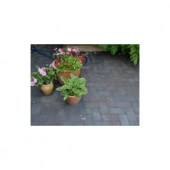 Steffen Sten Bretagne Belægningstegl U Fas - 200 / 100 / 52 Mm 8 Steffen Sten Bretagne Belægningstegl U Fas - 200 / 100 / 52 Mm -Home Salgsbutik unnamed file 255