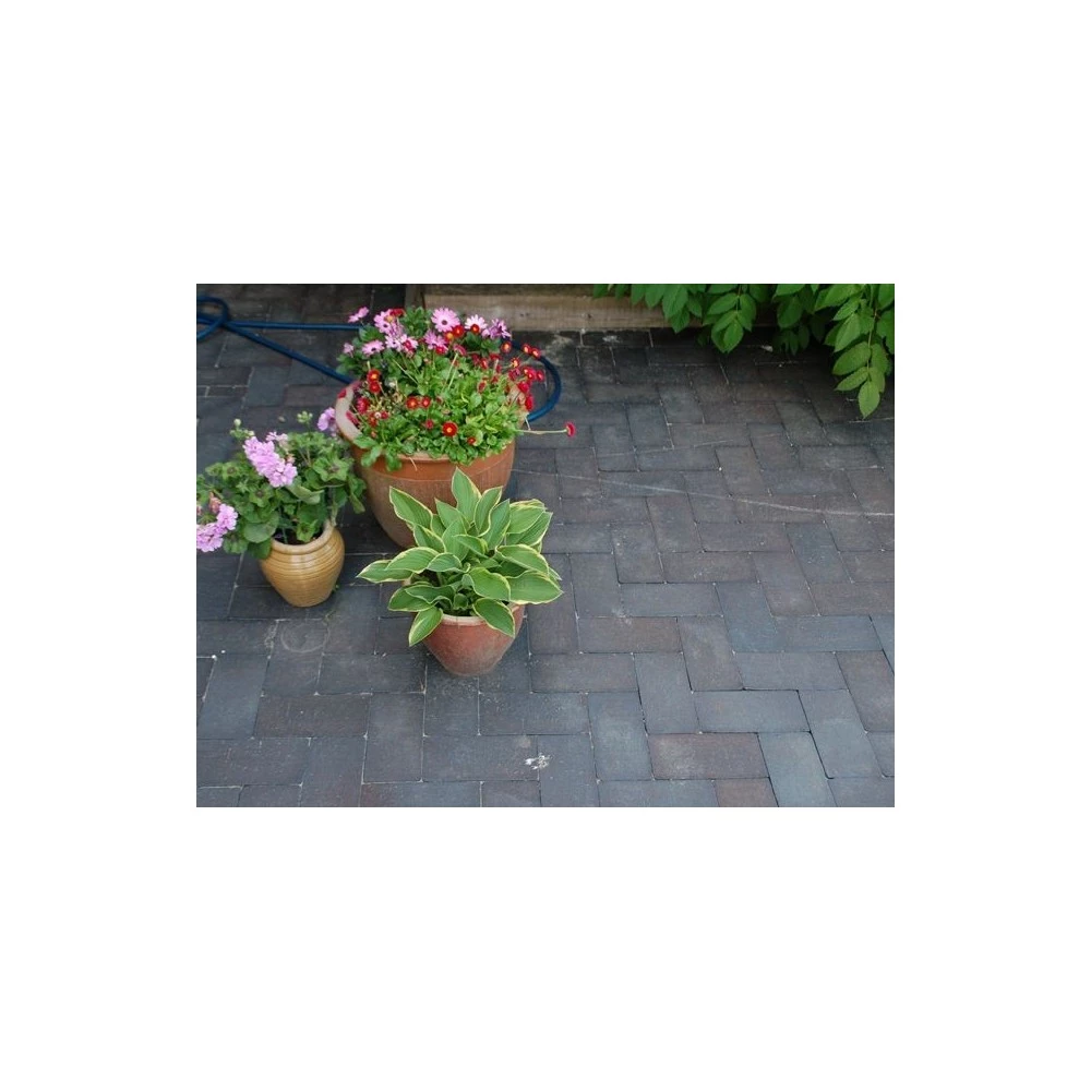 Steffen Sten Bretagne Belægningstegl U Fas - 200 / 100 / 52 Mm 5 Steffen Sten Bretagne Belægningstegl U Fas - 200 / 100 / 52 Mm - Billede 3