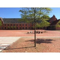 Steffen Sten Friesland Belægningstegl - 200 / 100 / 50 Mm 29 Steffen Sten Friesland Belægningstegl - 200 / 100 / 50 Mm -Home Salgsbutik unnamed file 295