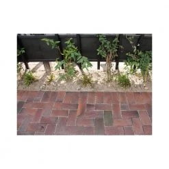 Steffen Sten Tørvebrændt Belægningstegl - 220 / 105/ 52 Mm -Home Salgsbutik unnamed file 86